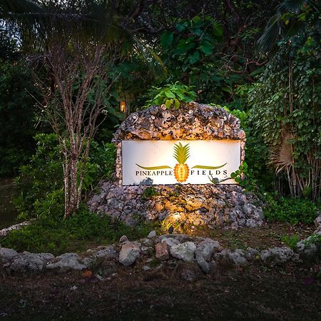 Aparthotel Pineapple Fields Governor's Harbour Esterno foto